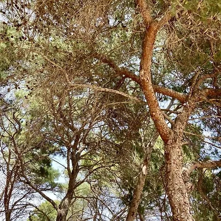 بيت ضيافة Dimora Delle Tonnare