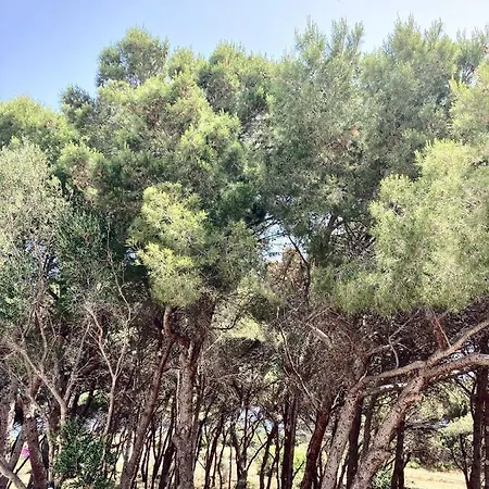 Dimora Delle Tonnare فافينانا