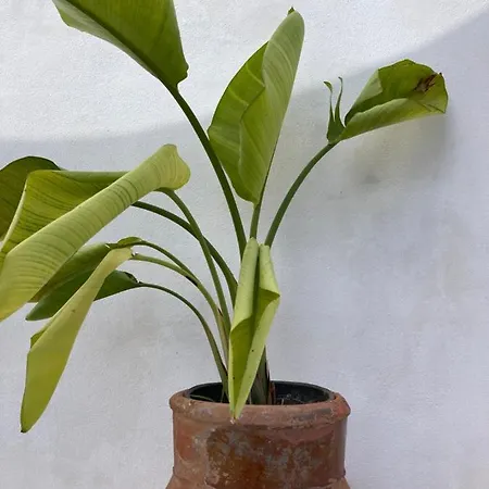 Dimora Delle Tonnare