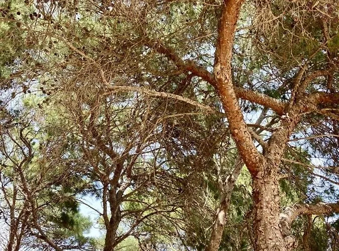 招待所 Dimora Delle Tonnare