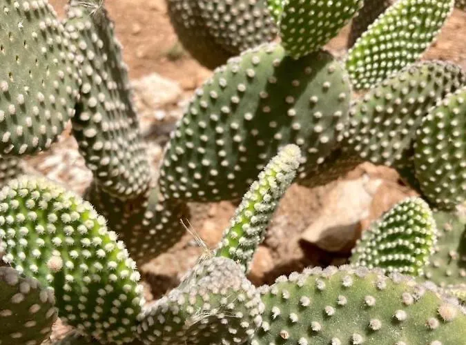 招待所 Dimora Delle Tonnare 4*